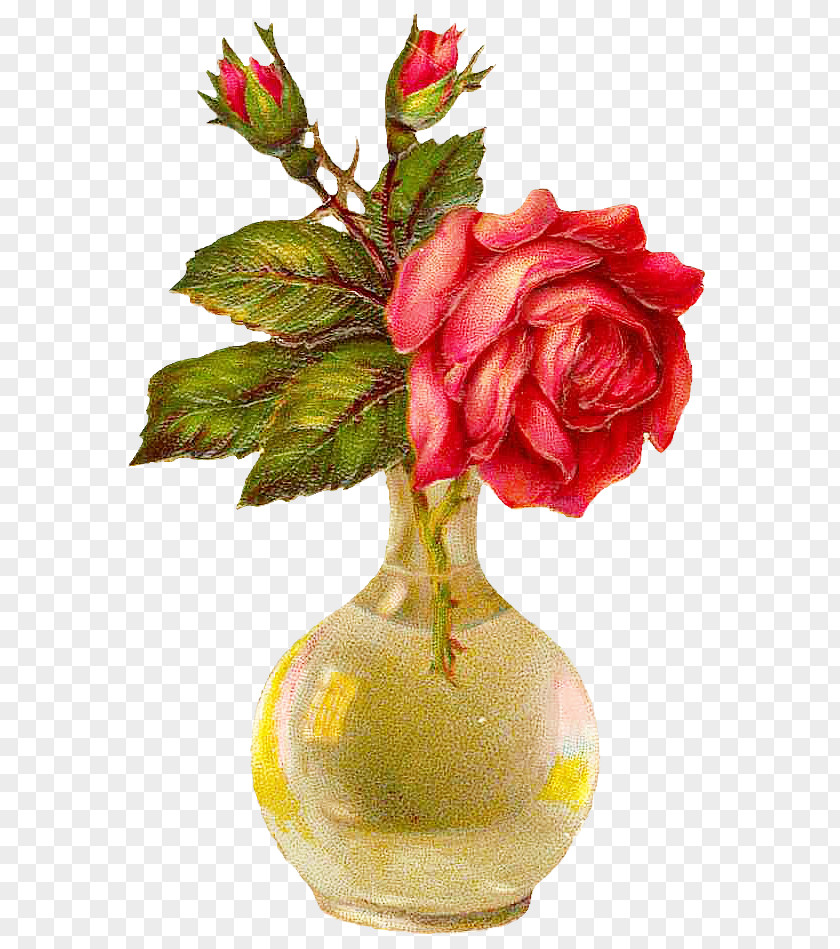 Retro Floral Flora Vase Flower Garden Roses Drawing PNG