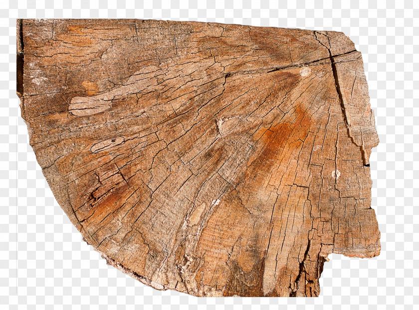 Stump Wood /m/083vt Rock M Nation PNG