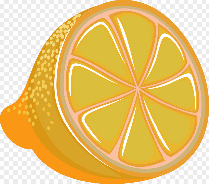 Vector Painted Lemon Fruit PNG