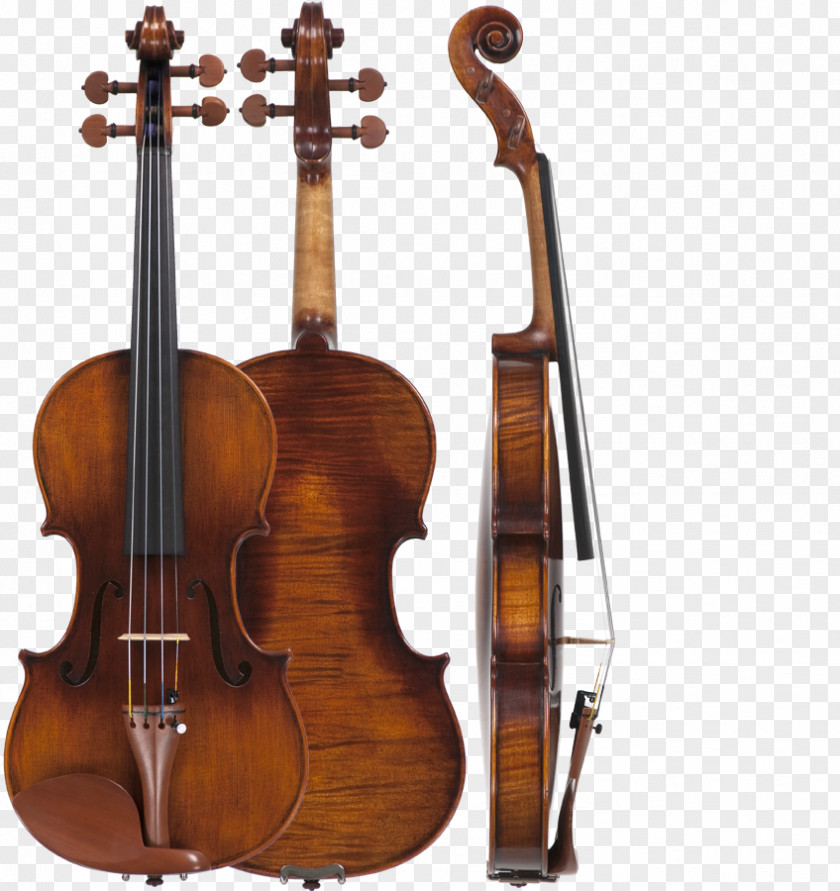 Violin Family Stradivarius Musical Instruments Cello PNG