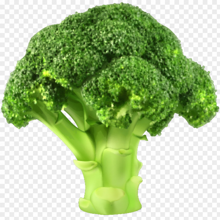 A Broccoli Slaw Vegetable Clip Art PNG