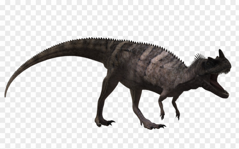 Brachiosaurus Ceratosaurus Animal Velociraptor Tyrannosaurus PNG
