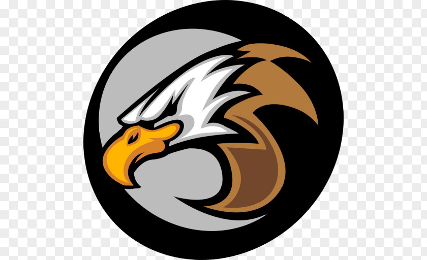 Eagle Mascot Logo Vector Graphics Stock Photography Illustration PNG