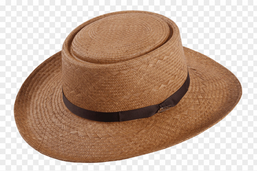 Hat Panama Fedora Carludovica Palmata Straw PNG