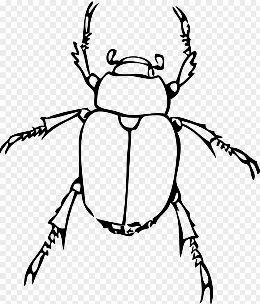 Insect Bug Drawing Book Clip Art PNG