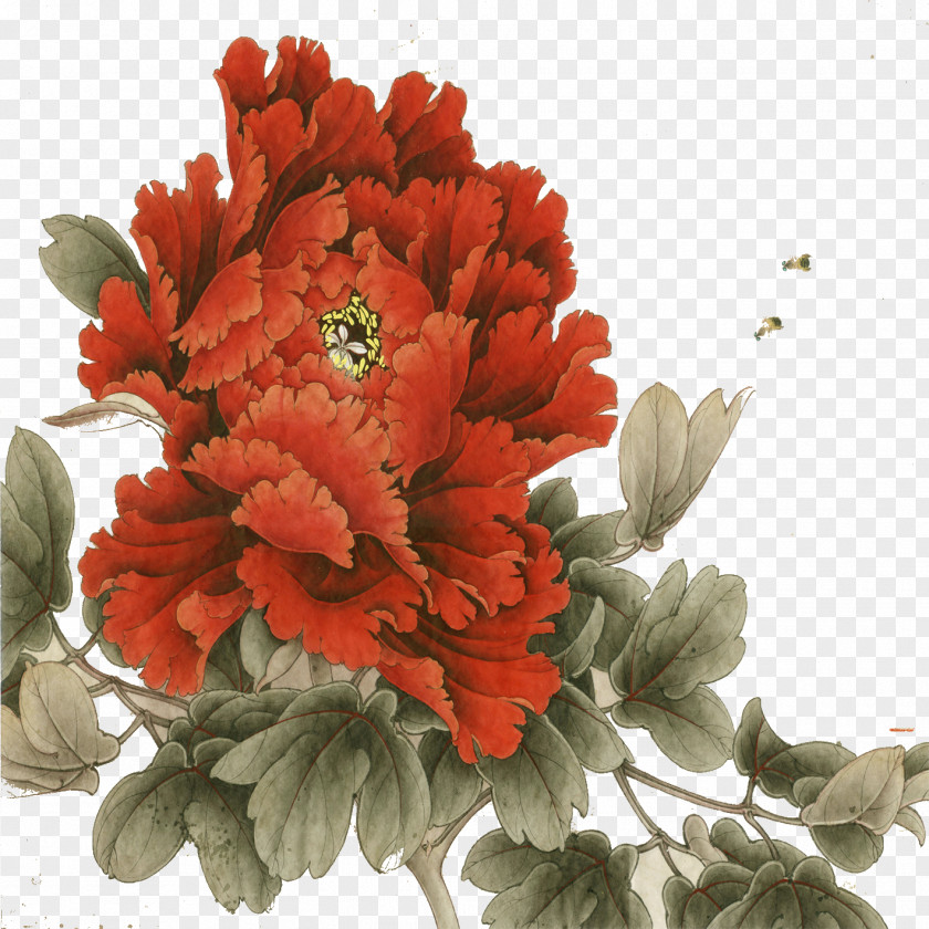 Peony China Paintbrush Art The Painting PNG