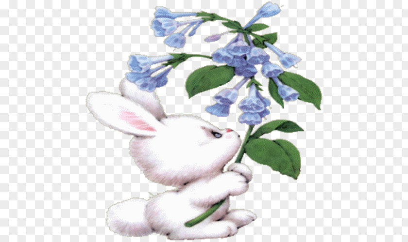 Rabbit Centerblog PNG