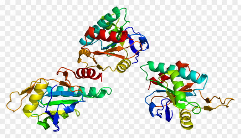 SCO1 Cytochrome C Oxidase Subunit II COX20 SCO2 PNG
