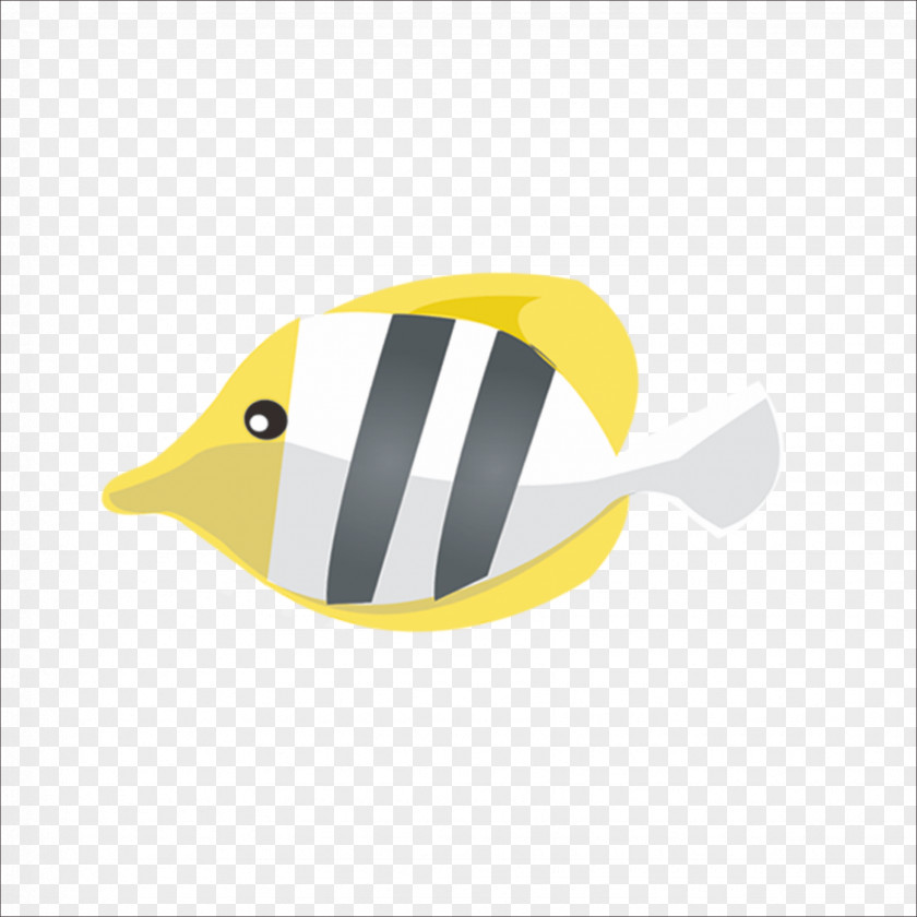 Zebrafish Donkey Horse PNG