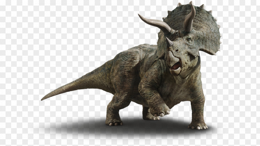 Dinosaur Le Guide De Survie Jurassic World Chaos Island: The Lost Triceratops Park PNG