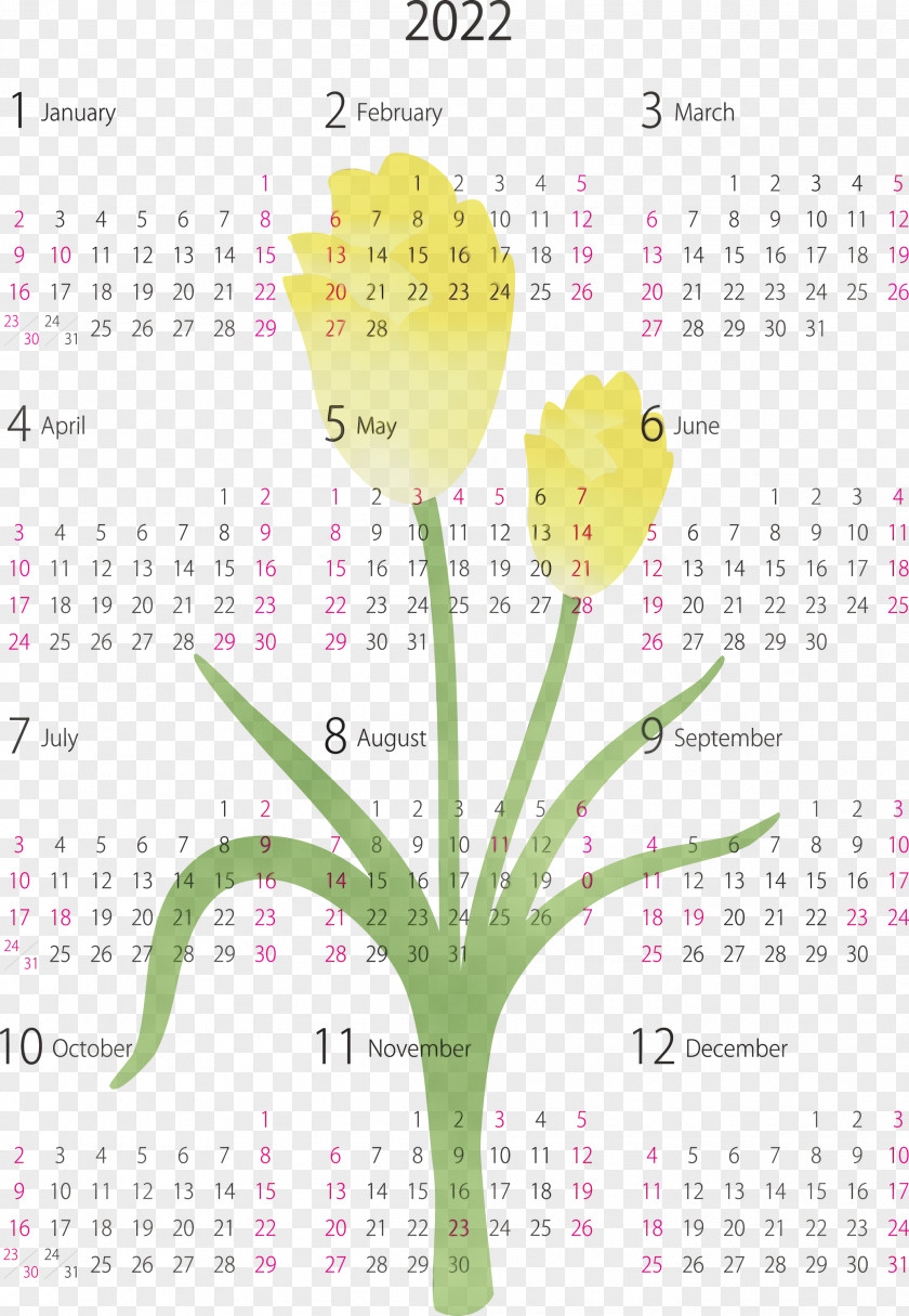 Flower Calendar System Meter Font Plant PNG