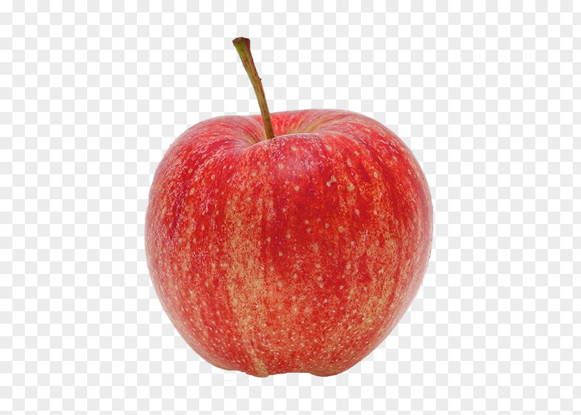 Golden Royal McIntosh Apple Juice Gala Red Delicious PNG