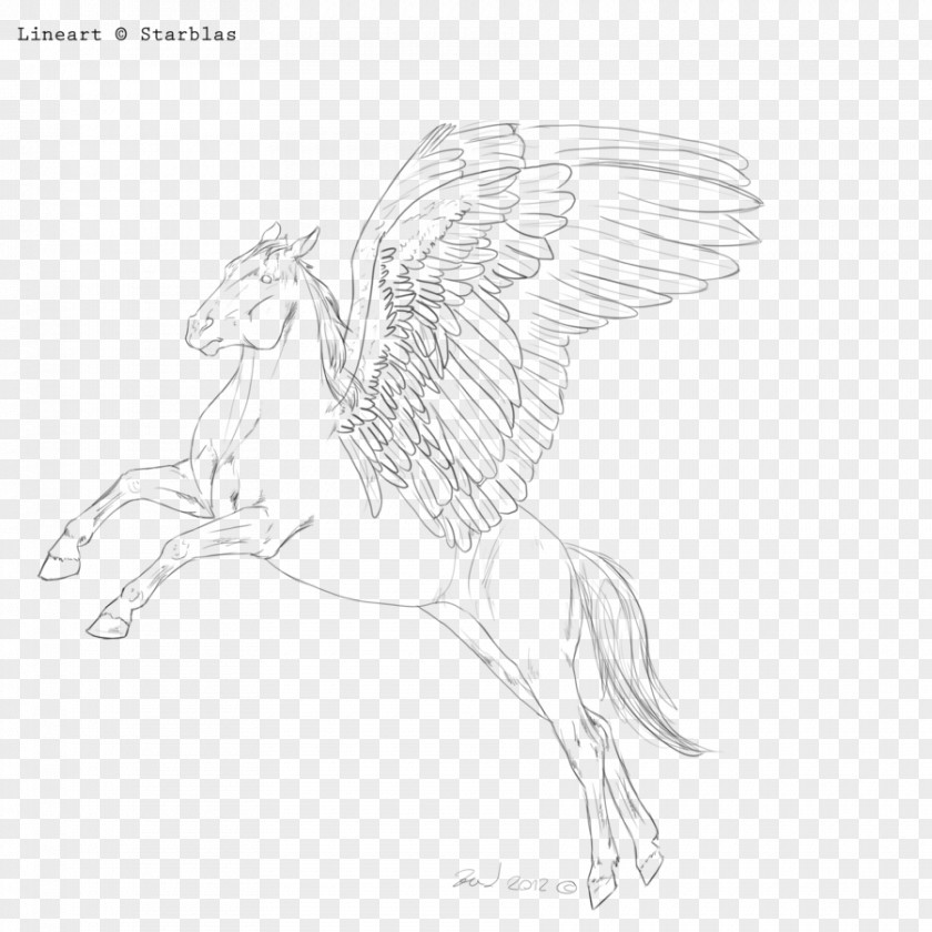 Horse Pony Fairy Drawing Sketch PNG