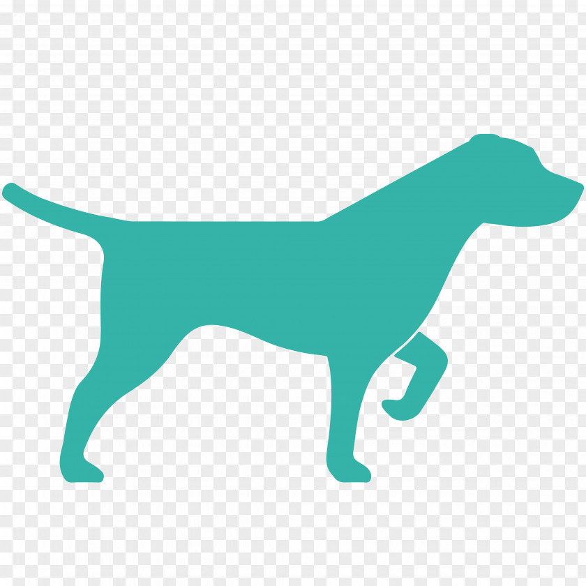 Pointer Hunting Dog PNG