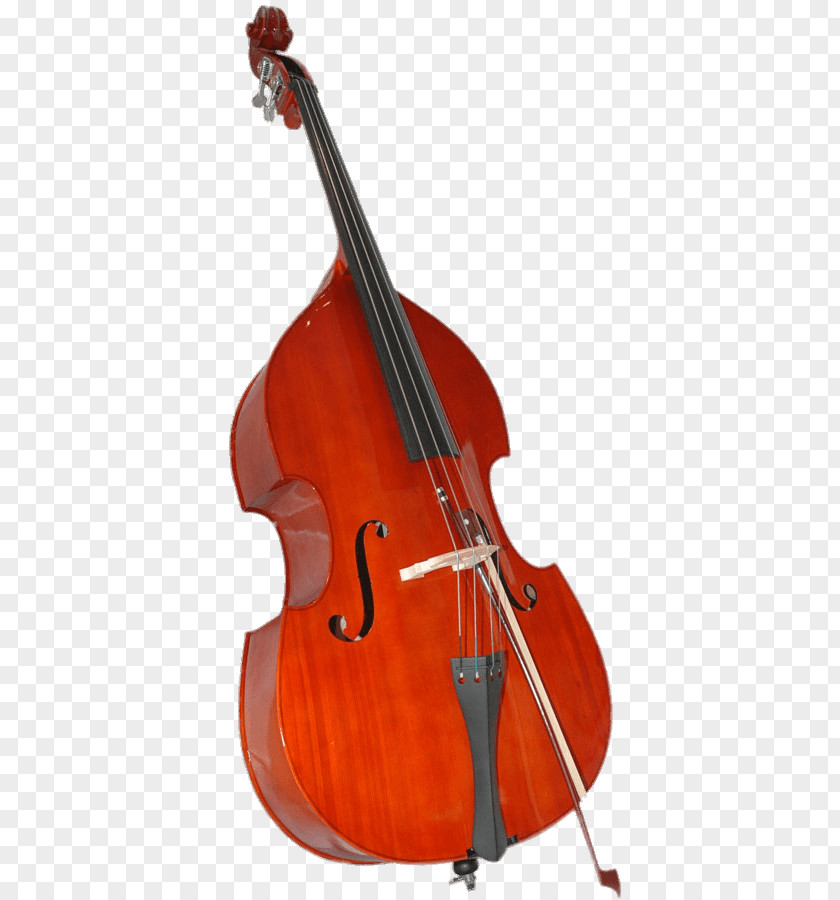 Bass Guitar Double Viola Violin Family String Instruments PNG