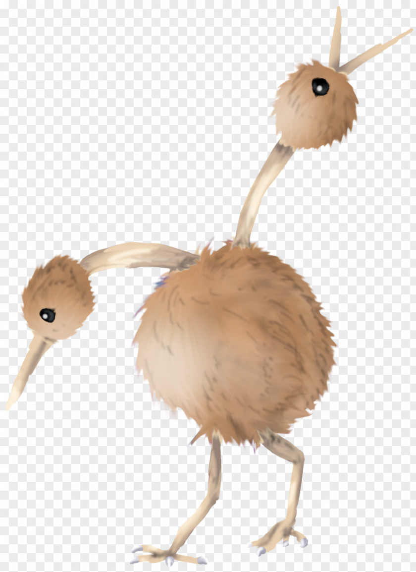 Cinnamon Flightless Bird Common Ostrich Chicken Ratite PNG