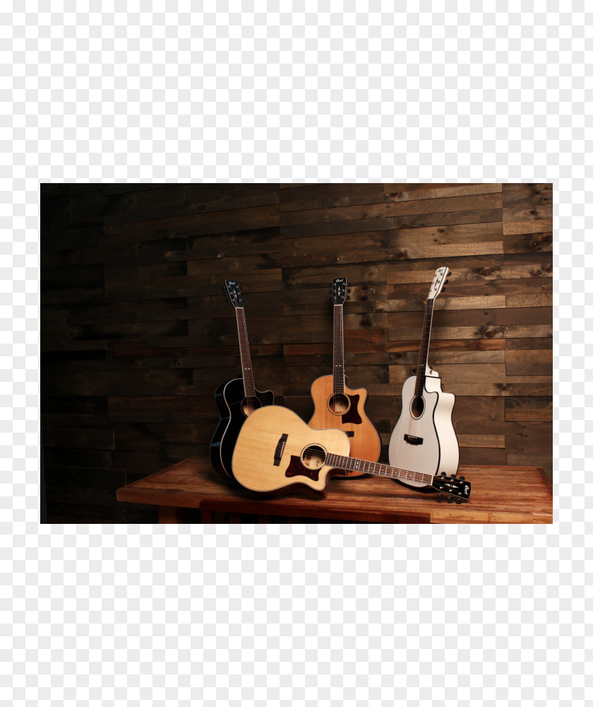Guitar String Instruments Cort Guitars Office Den PNG