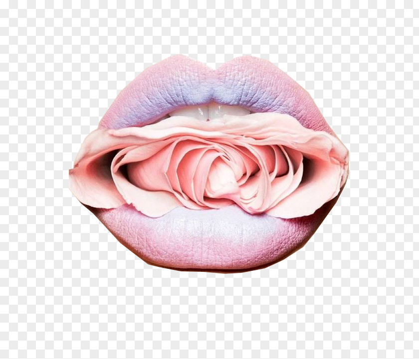 Lipstick Rose Color Cosmetics PNG Cosmetics, Pink Temptation courtship mouth I love you clipart PNG