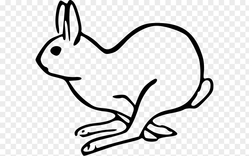 Nd Cliparts European Hare Rabbit Clip Art PNG