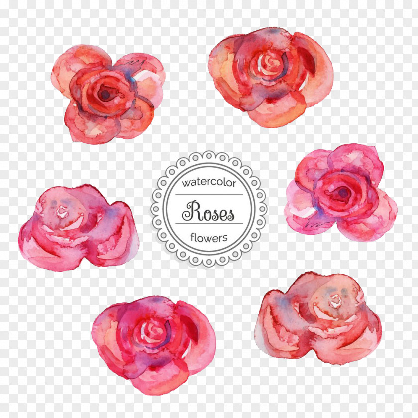 Rose Watercolor Illustration Picture Painting PNG