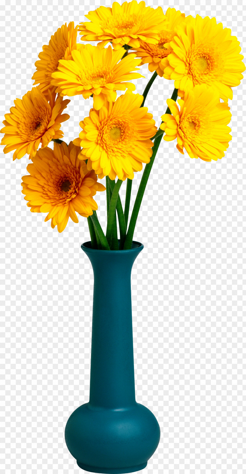 Vase Flower Photography Clip Art PNG
