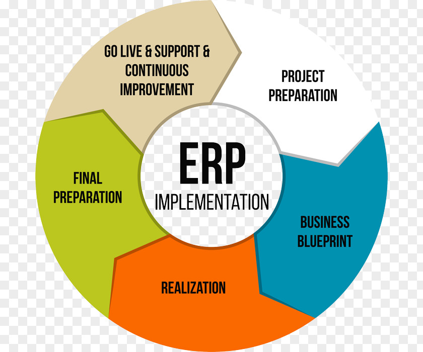 Enterprise Resource Planning SAP Implementation System Consultant PNG