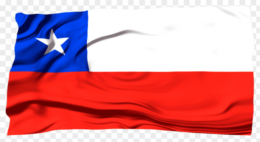 Flag Flags Of The World Artist Chile PNG