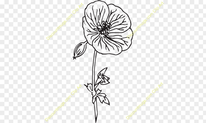 Geranium Flower Floral Design Cut Flowers Petal Drawing PNG