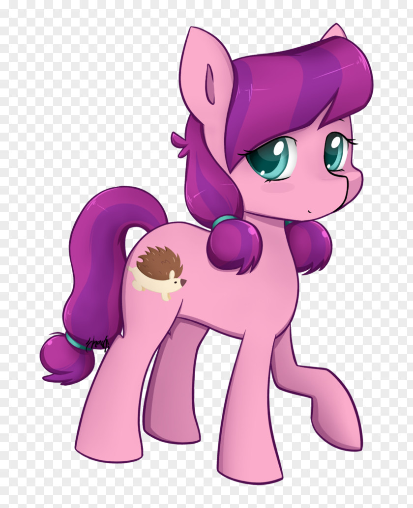 Long Socks My Little Pony Twilight Sparkle Rainbow Dash DeviantArt PNG