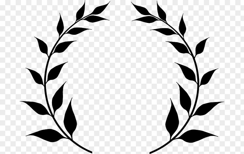 Olive Branch Laurel Wreath Clip Art PNG