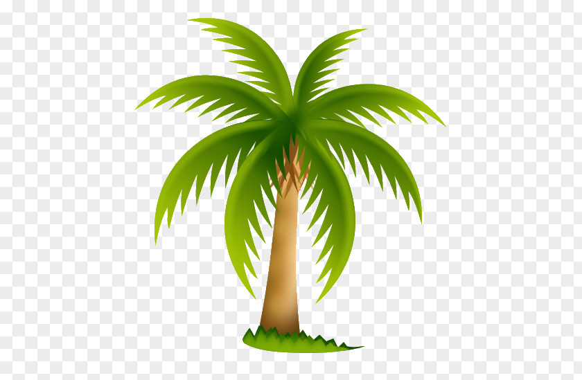 PALMERA Date Palm Arecaceae Tree Clip Art PNG