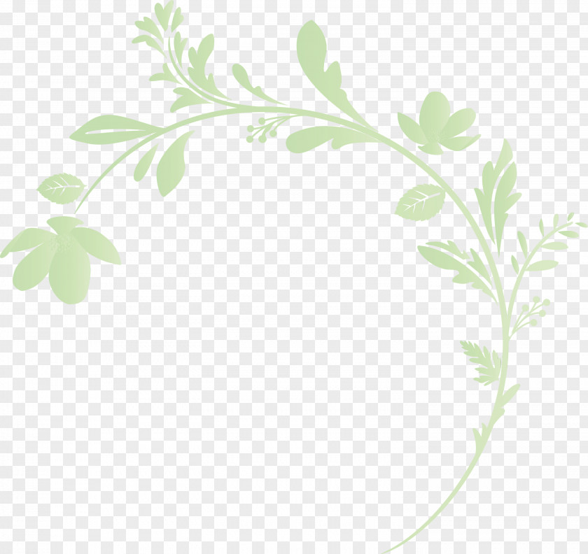 Parsley PNG