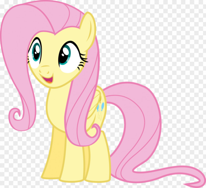 Smile Pony Fluttershy Rainbow Dash Pinkie Pie PNG