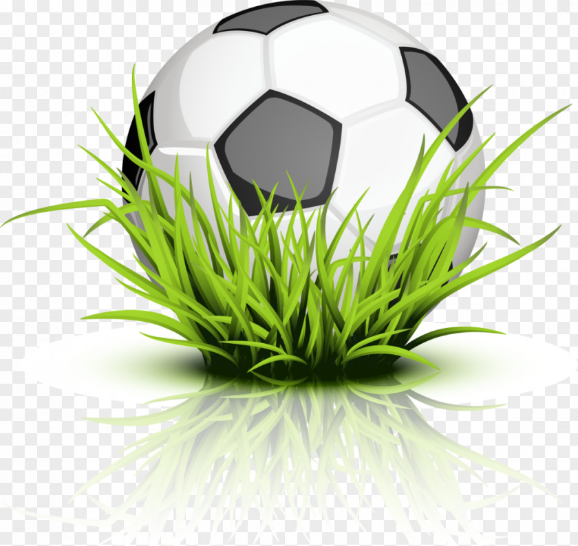 Soccer Ball The Tree Frog Clip Art PNG