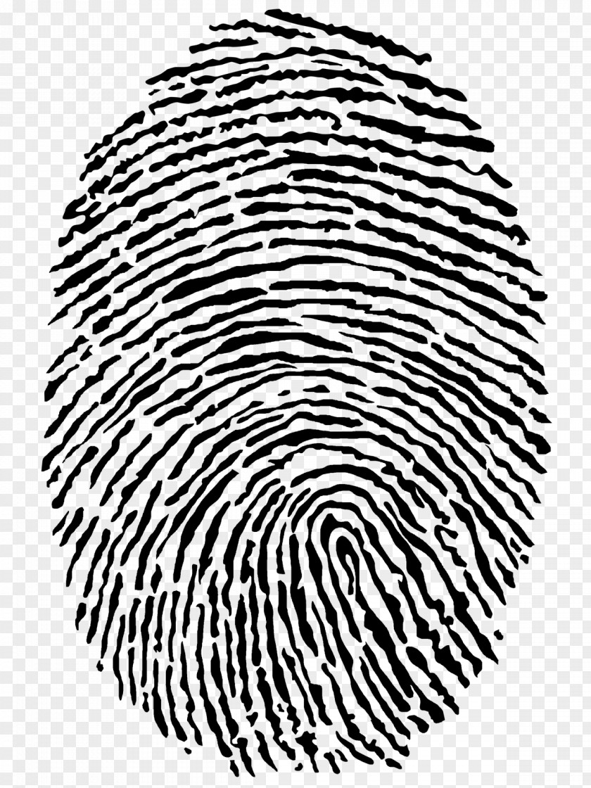 Technology Fingerprint Computer Security Biometrics Network PNG