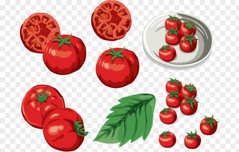 Tomato Bush Food Clip Art PNG