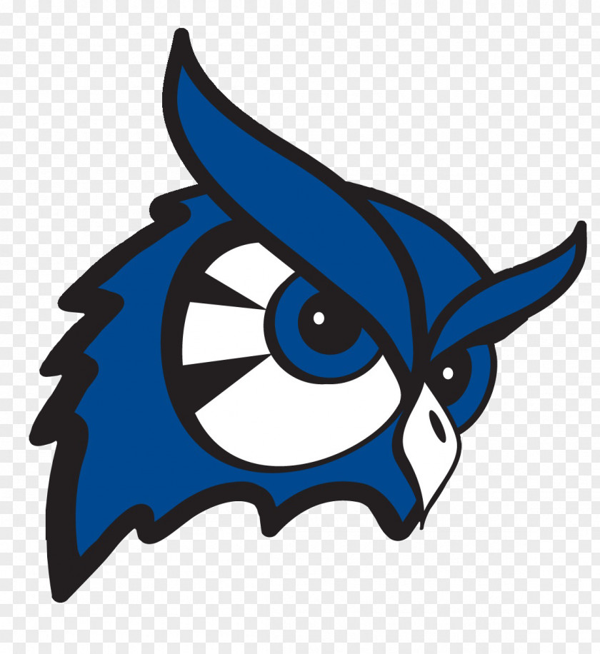 сова Westfield State University Owls Women's Basketball Football College Of Our Lady The Elms PNG