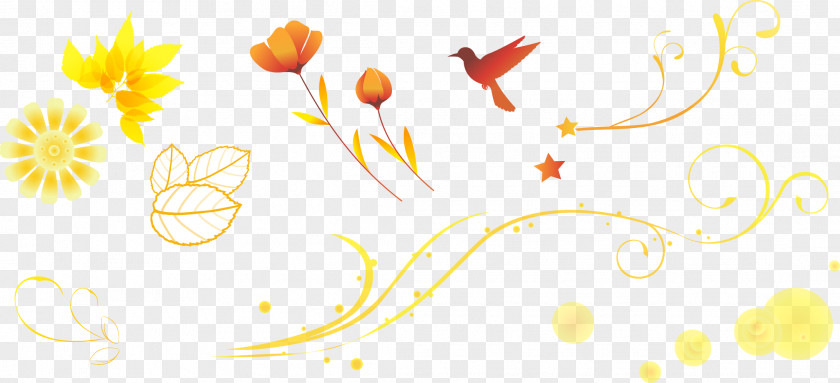 Autumn Bouquet Decorative Elements Logo Petal Brand Font PNG