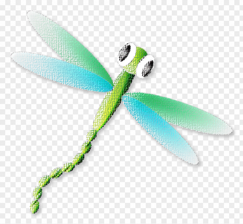 Dragonfly Logo Symbol Blue Green PNG