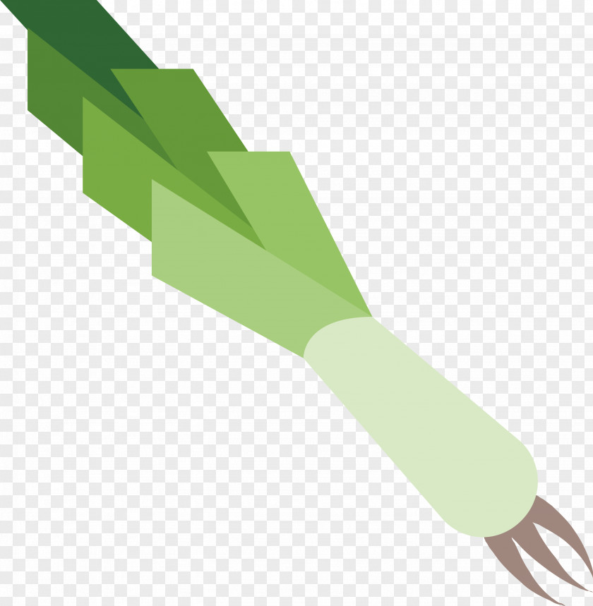 Leek PNG