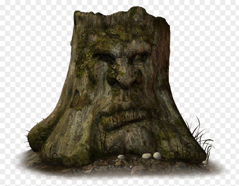 Tree Drawing Stump Skunk House PNG