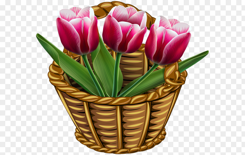 Tulips International Women's Day March 8 Ansichtkaart Holiday Woman PNG