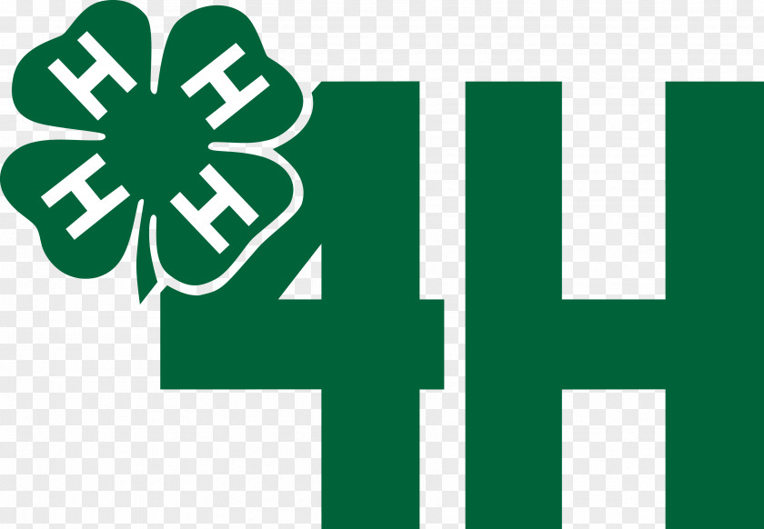 4 4-H Organization Clover Agriculture Clip Art PNG