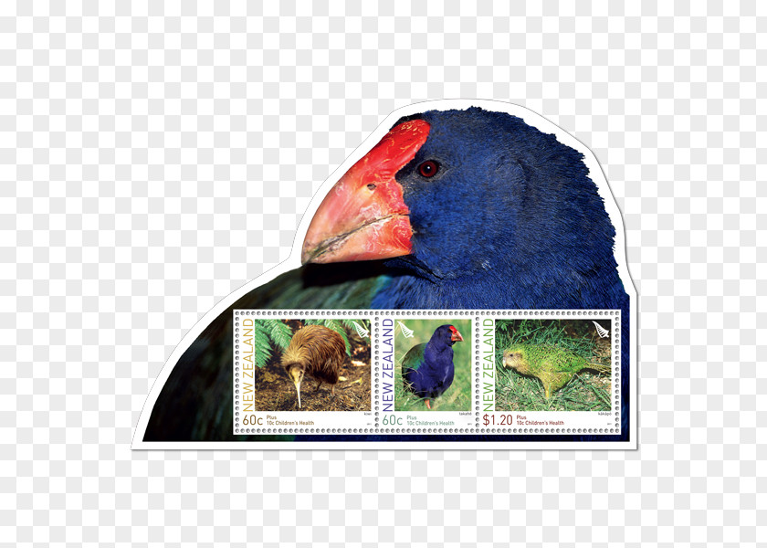 Cancelled Stamp Macaw Advertising Fauna Beak PNG