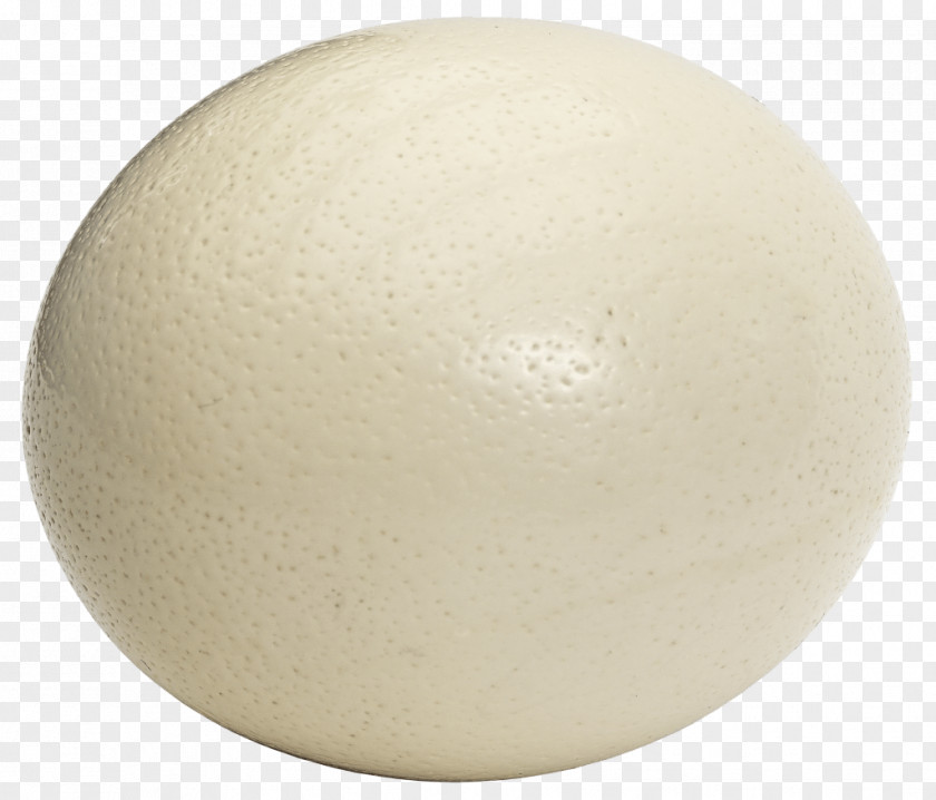 Chicken Common Ostrich Egg Bird Meat PNG