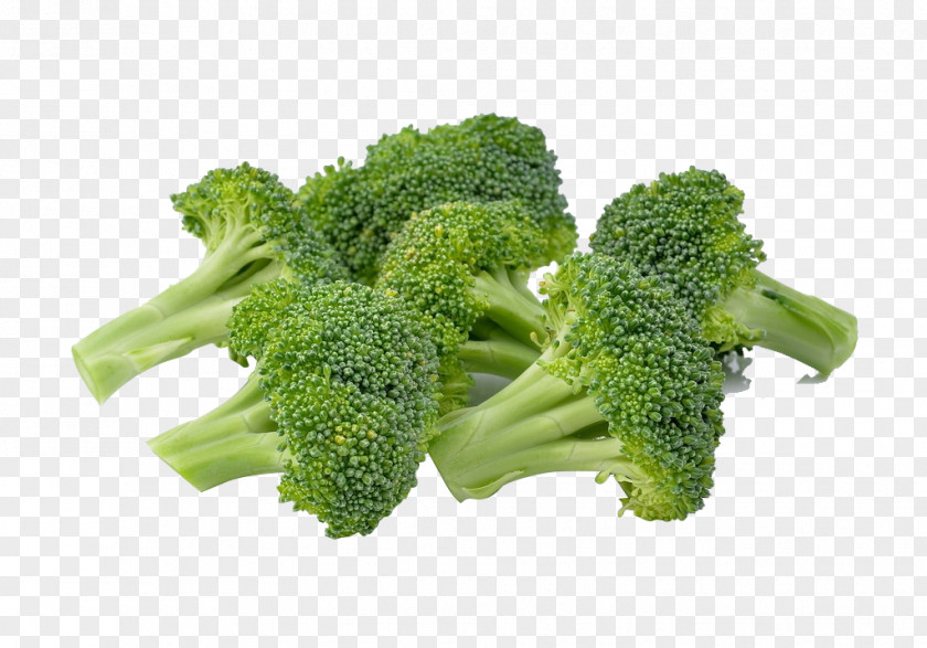 Fresh Fruits And Vegetables,broccoli Broccoli Cauliflower Cabbage Vegetable PNG