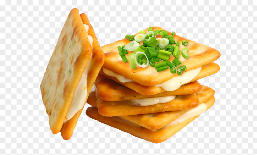 Onion Sandwich Soda Cake Bxe1nh Biscuit Cookie Sodium Bicarbonate Snack PNG