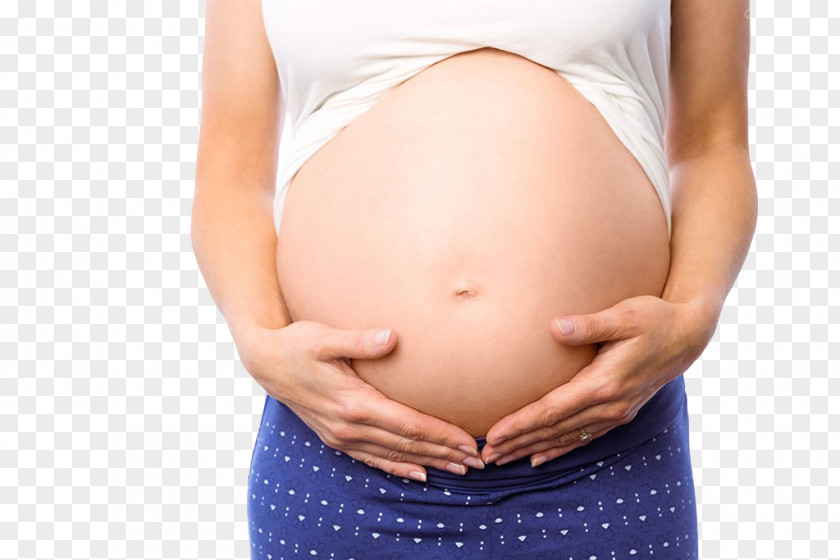 Pregnant Woman,belly,pregnancy,Mother,Pregnant Mother Pregnancy Childbirth Infant Prenatal Care PNG