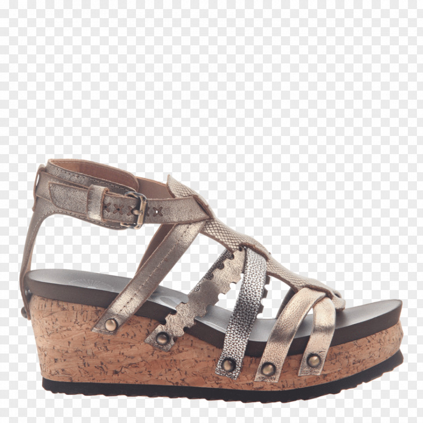 Sandal Wedge Shoe Sneakers Slide PNG