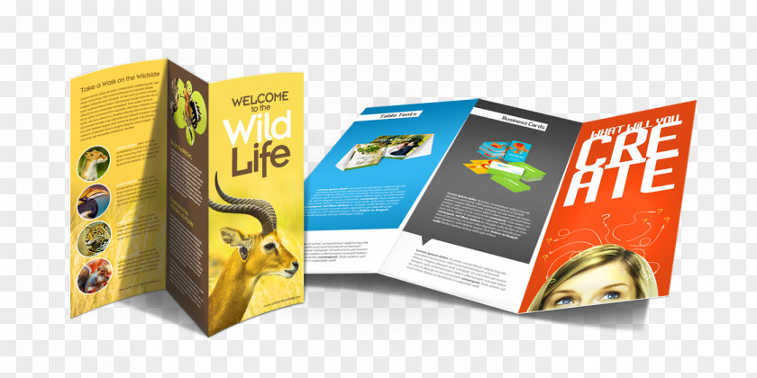 Trifold Brochures Packaging And Labeling Brand Carton PNG
